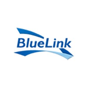 bluelink.net