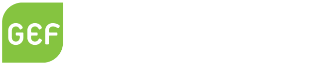 Green European Foundation