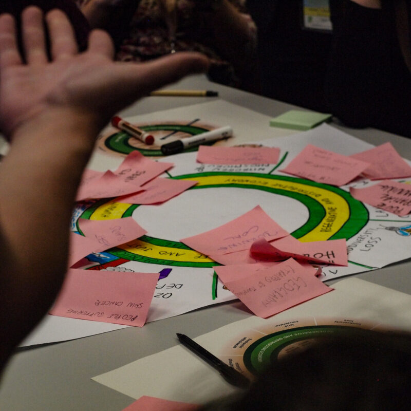 Training session at the European Green Academy 2024
